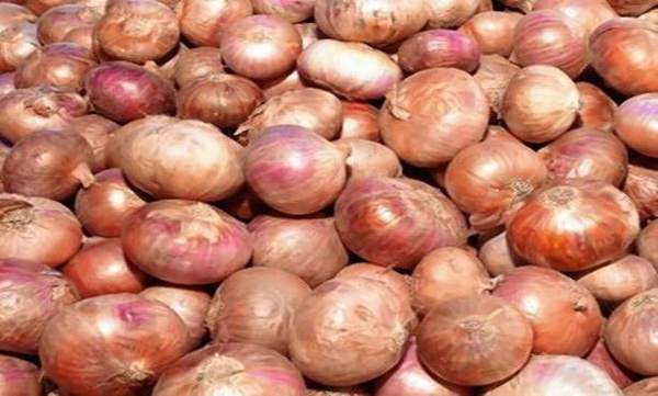 Onion price 
